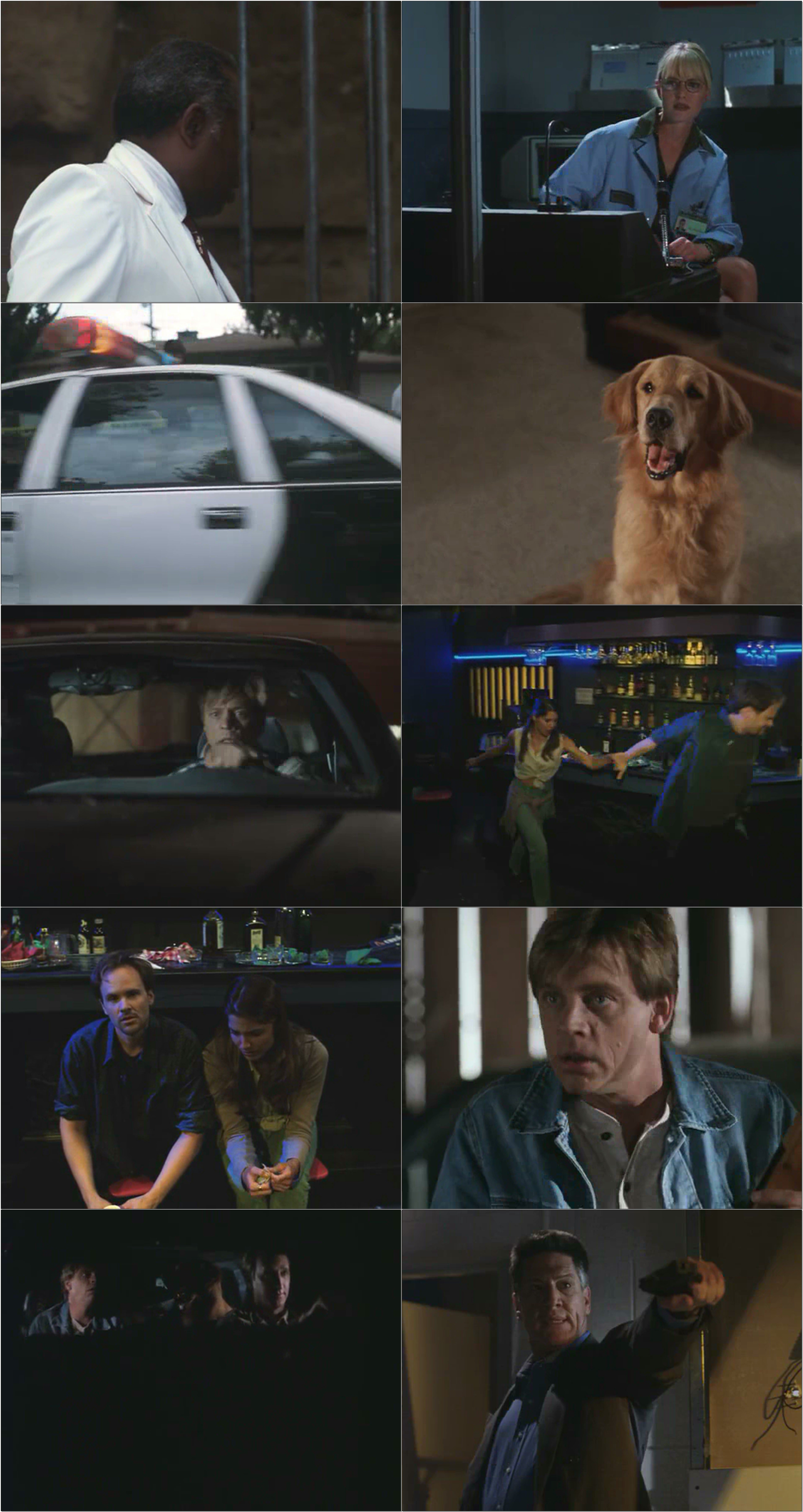 异形狂飙剧照的剧照