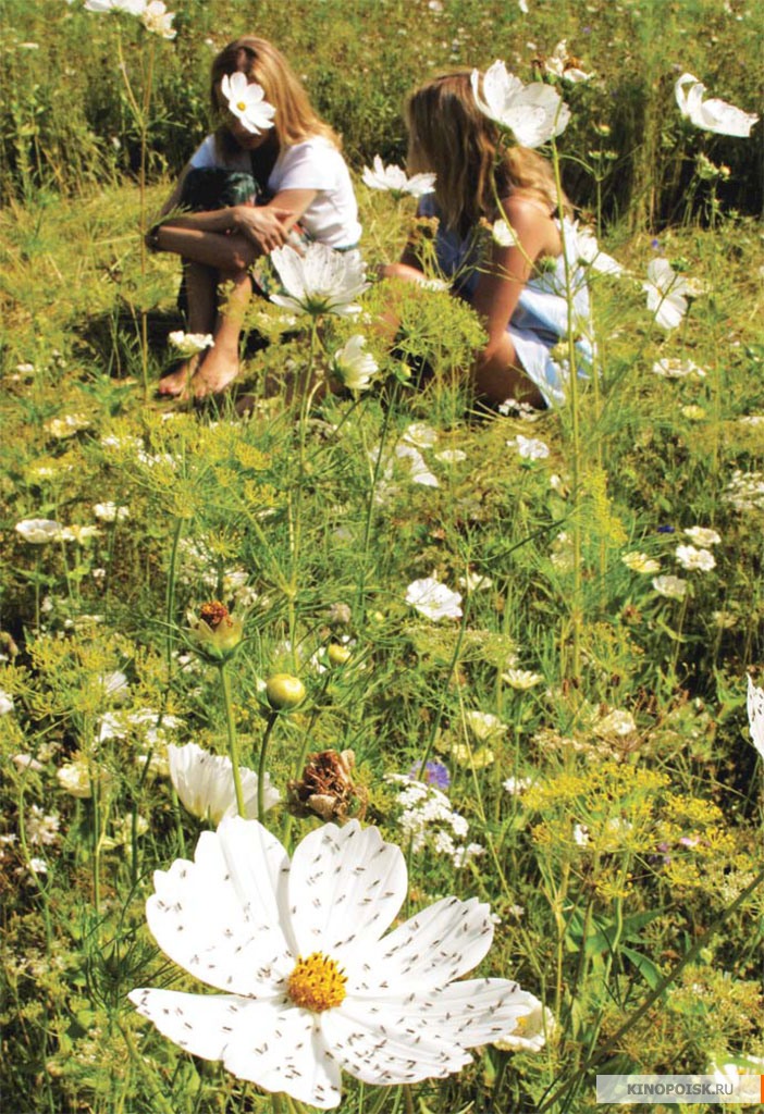 给妹妹的情书剧照的剧照