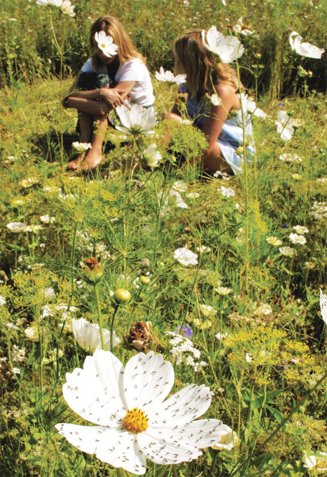 给妹妹的情书剧照的剧照