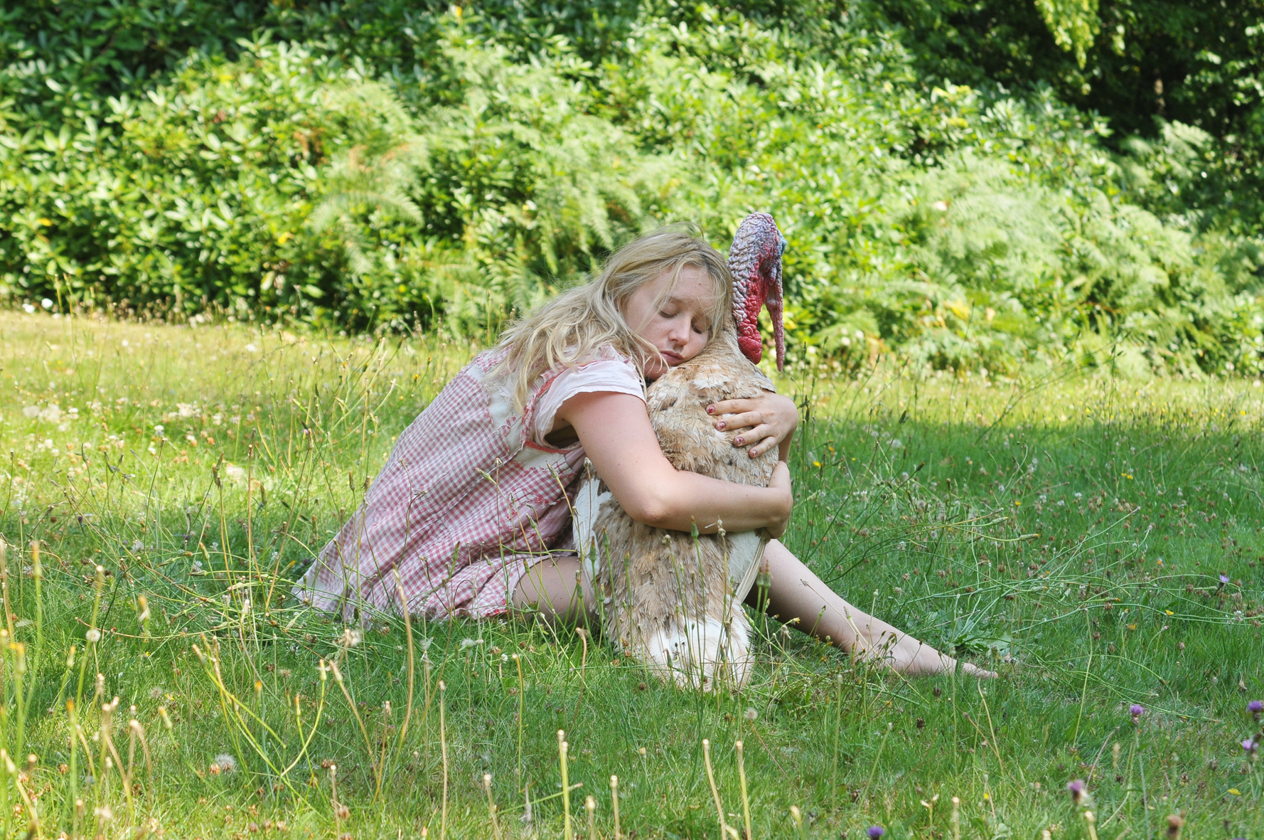 给妹妹的情书剧照的剧照