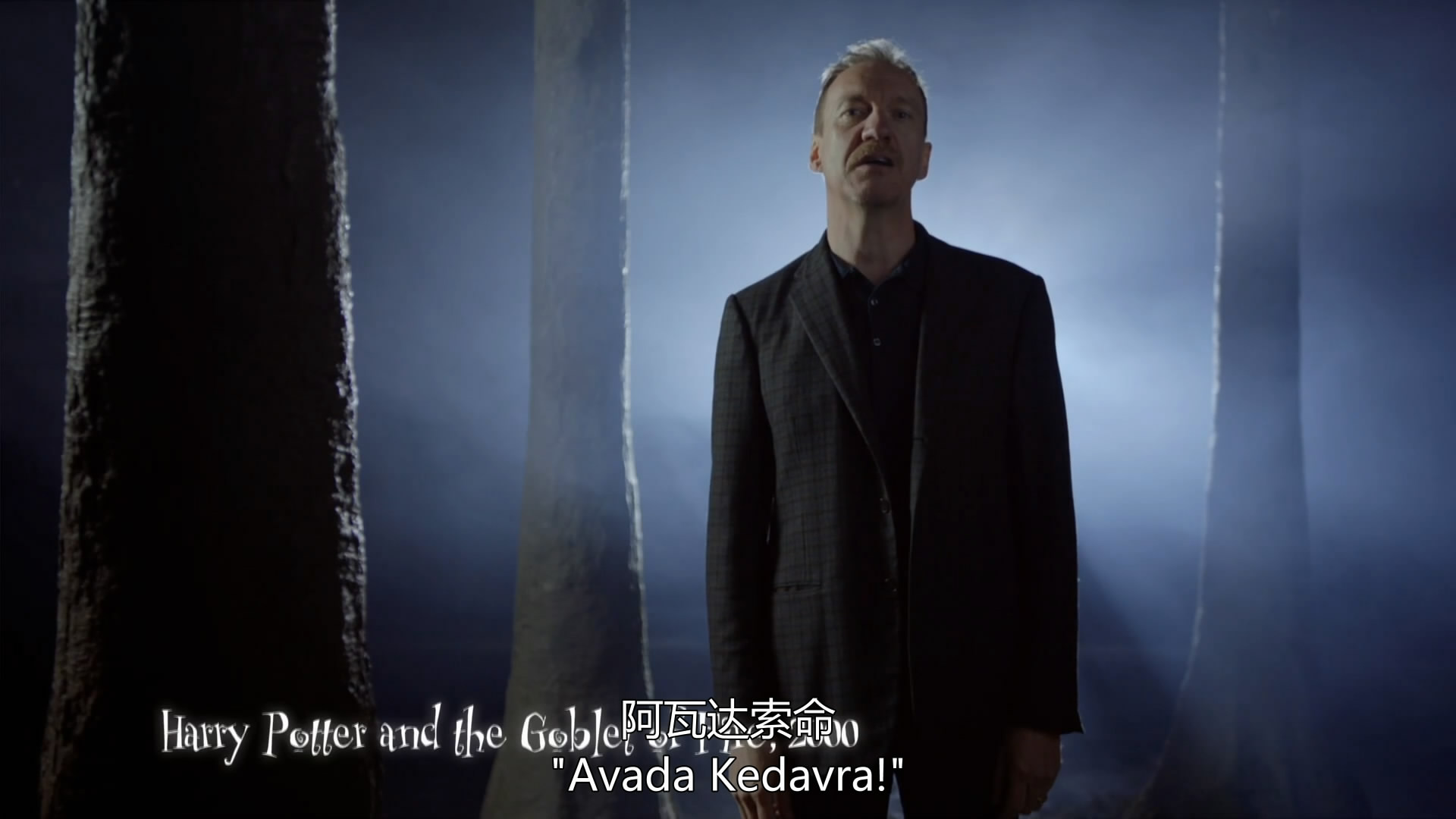 哈利·波特：一段魔法史剧照的剧照