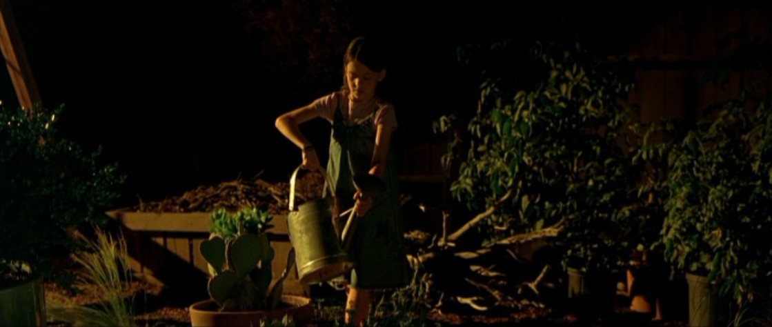 后来剧照的剧照