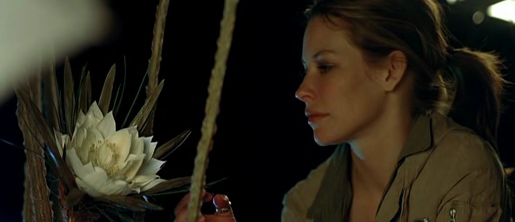 后来剧照的剧照