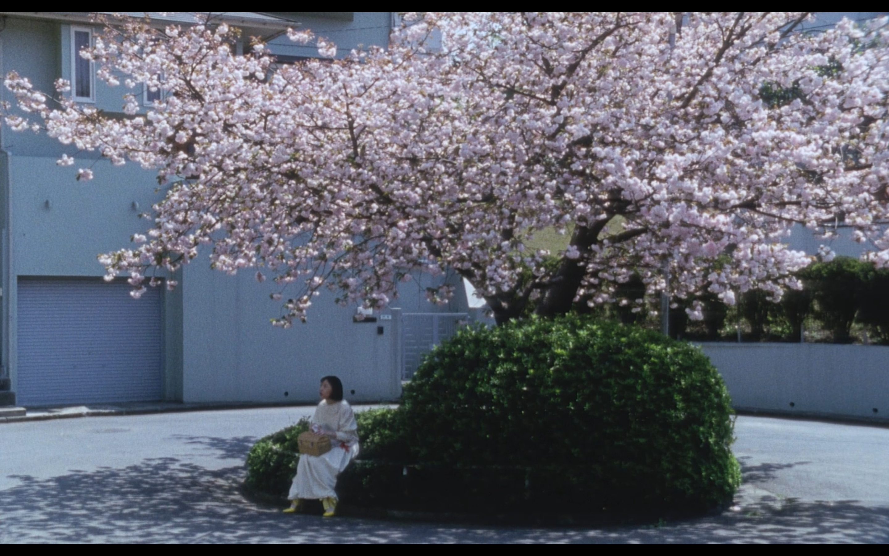 堕落东京剧照的剧照