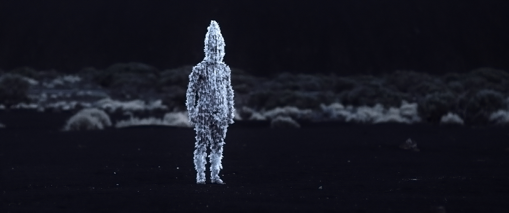 白上加白剧照的剧照