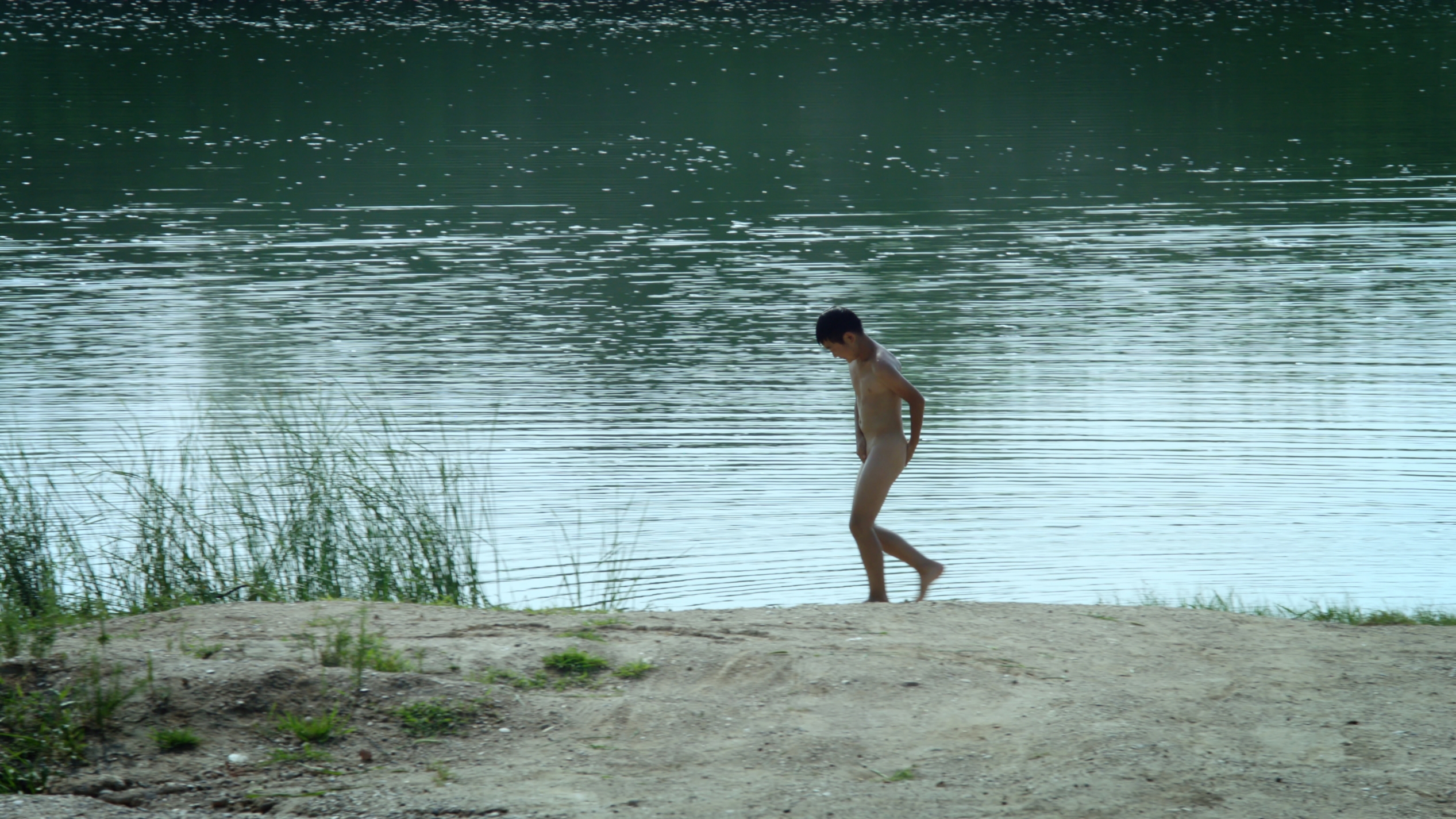 树上有个好地方剧照的剧照