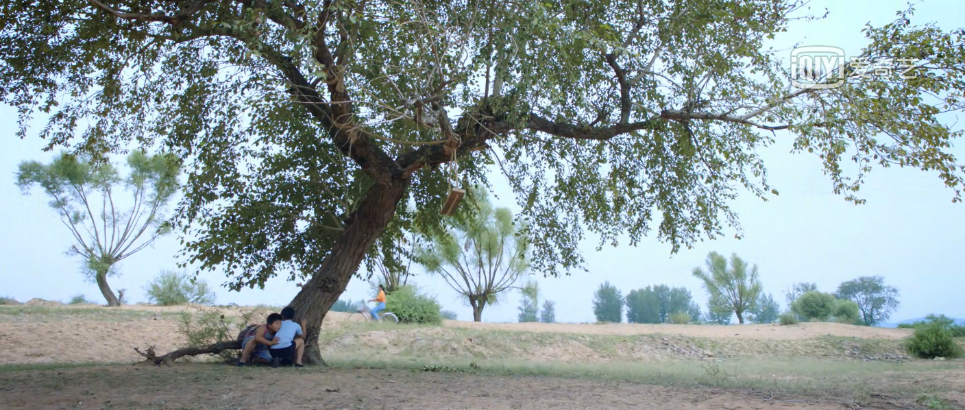树上有个好地方剧照的剧照