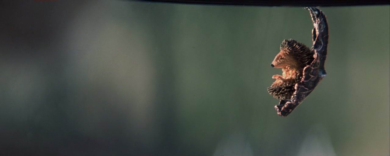 誓死追缉令剧照的剧照