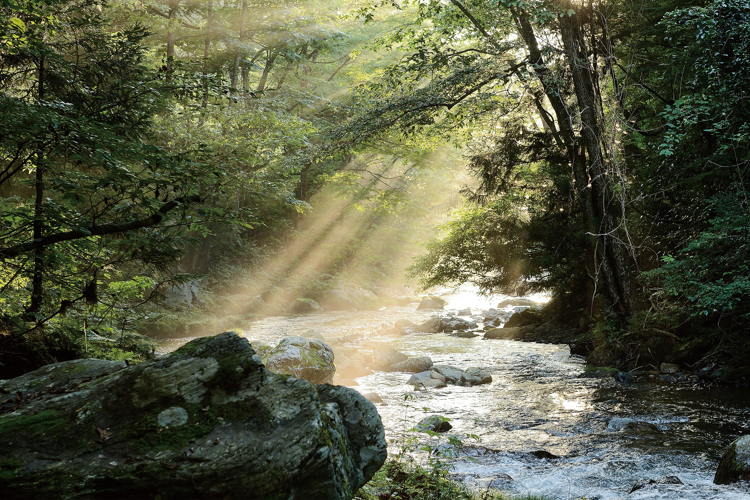 影里剧照的剧照