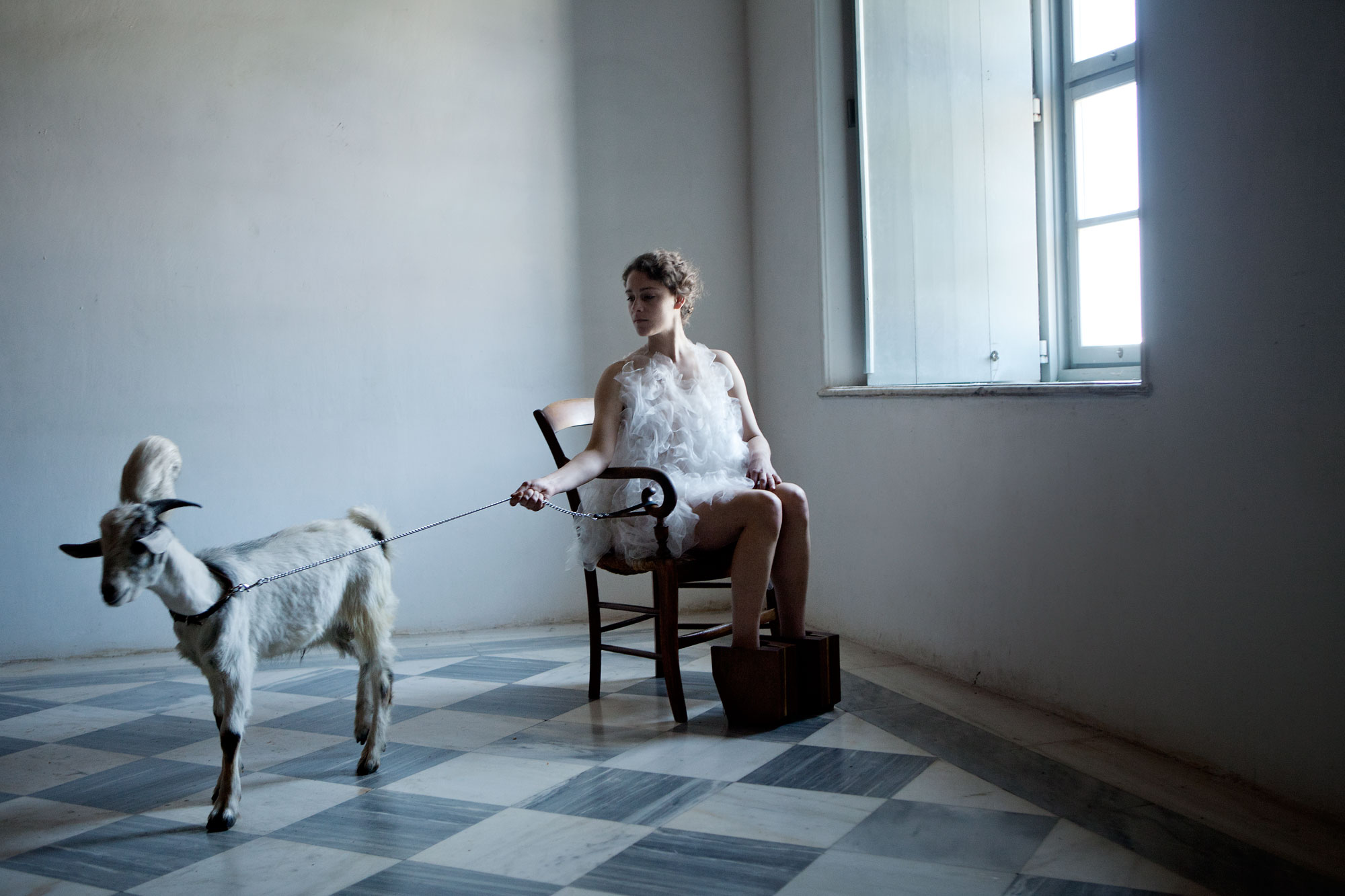 胶囊剧照的剧照