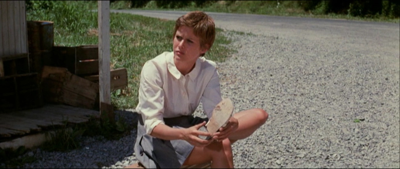 家族情仇剧照的剧照