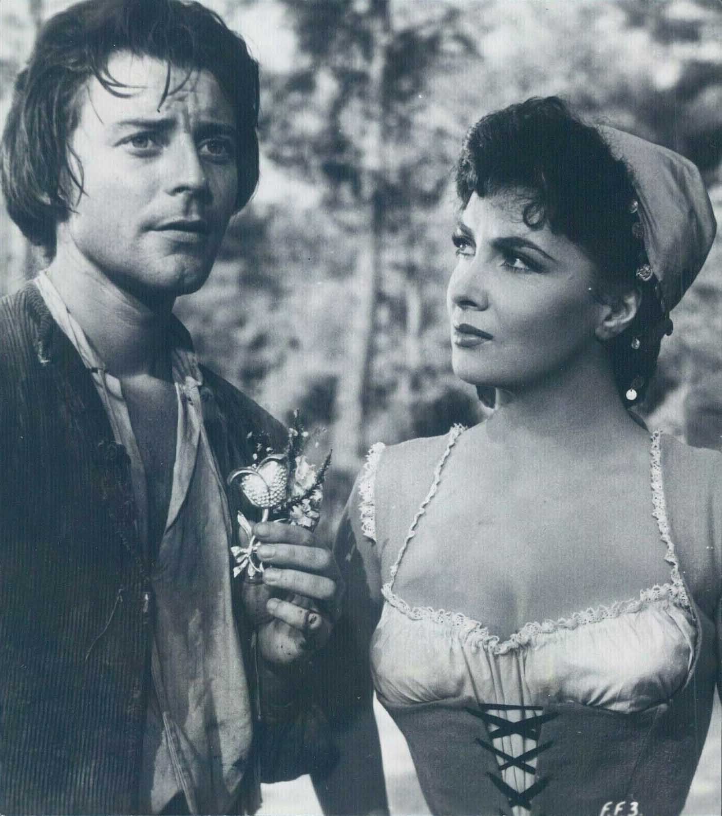 花开骑士剧照的剧照