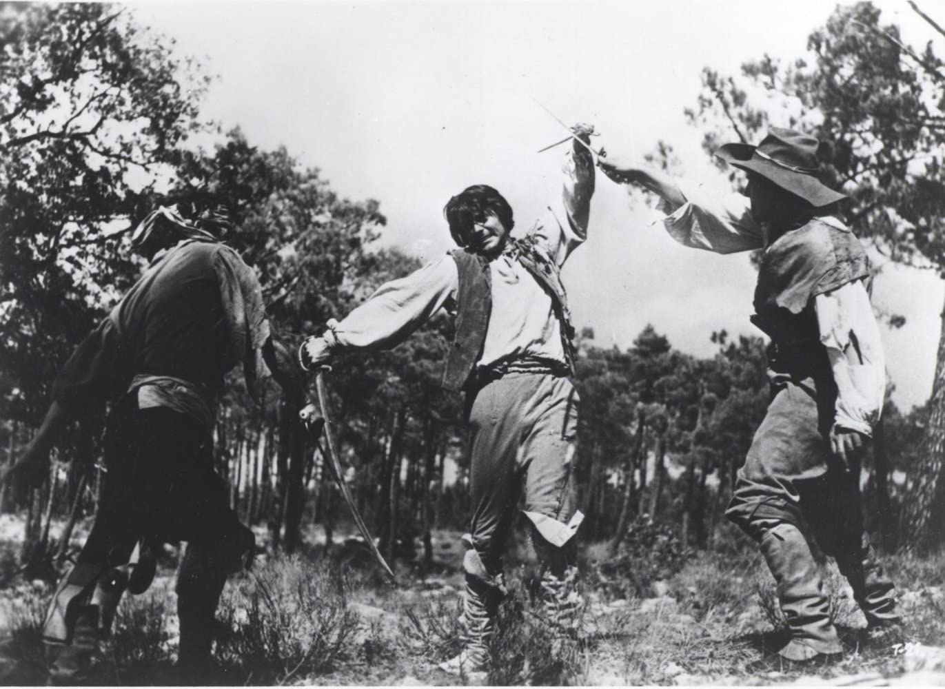 花开骑士剧照的剧照