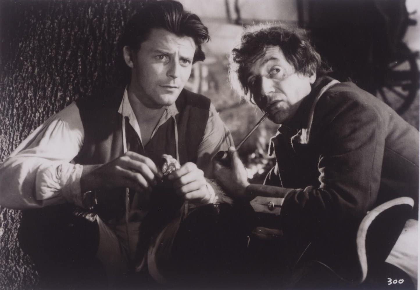 花开骑士剧照的剧照