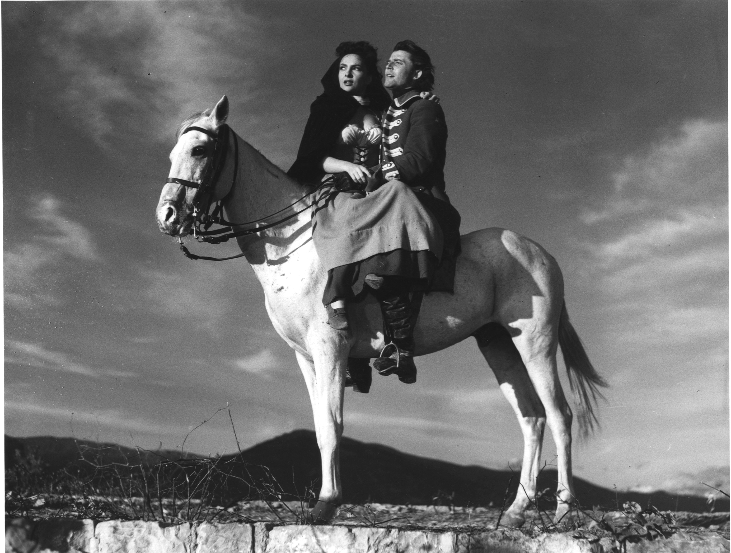 花开骑士剧照的剧照