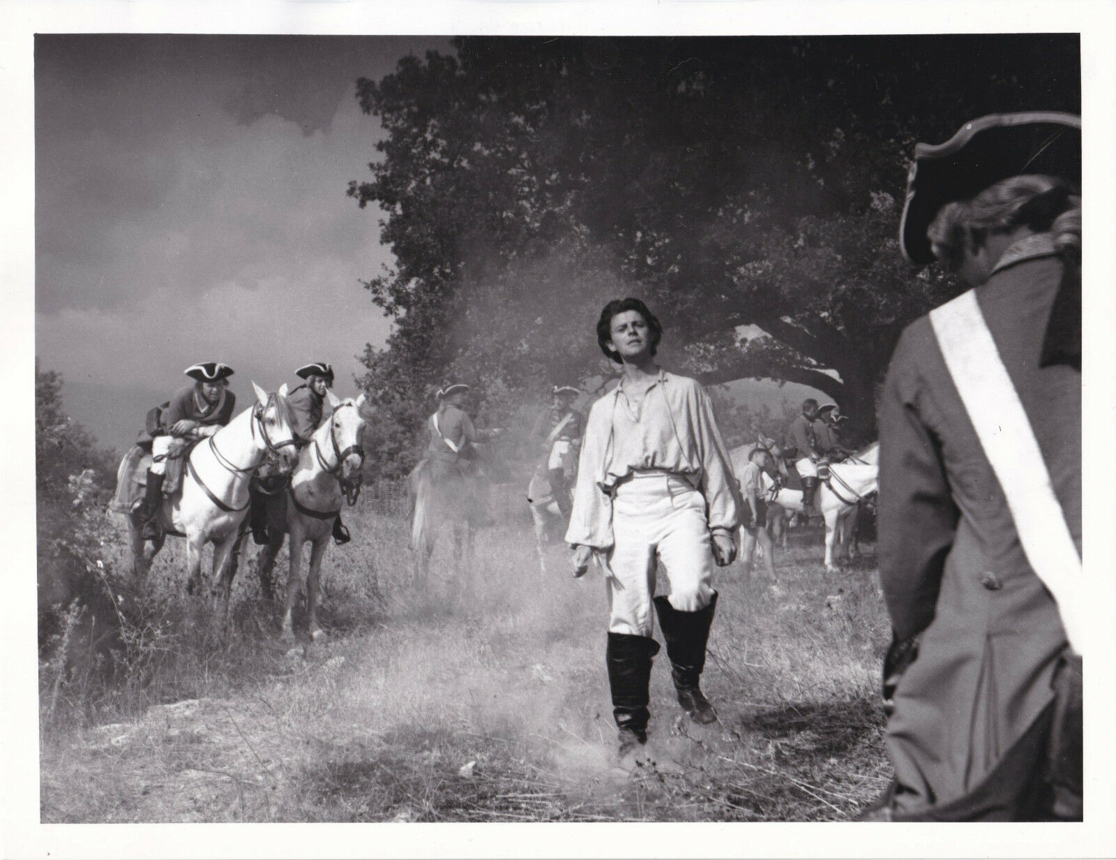 花开骑士剧照的剧照