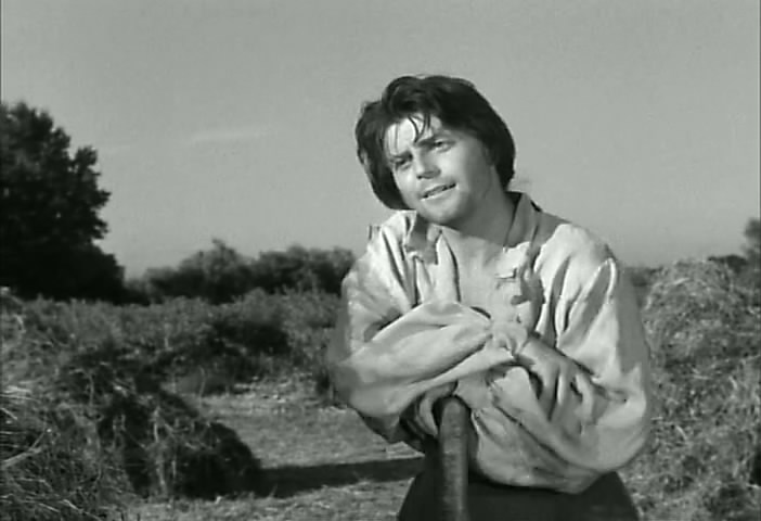 花开骑士剧照的剧照