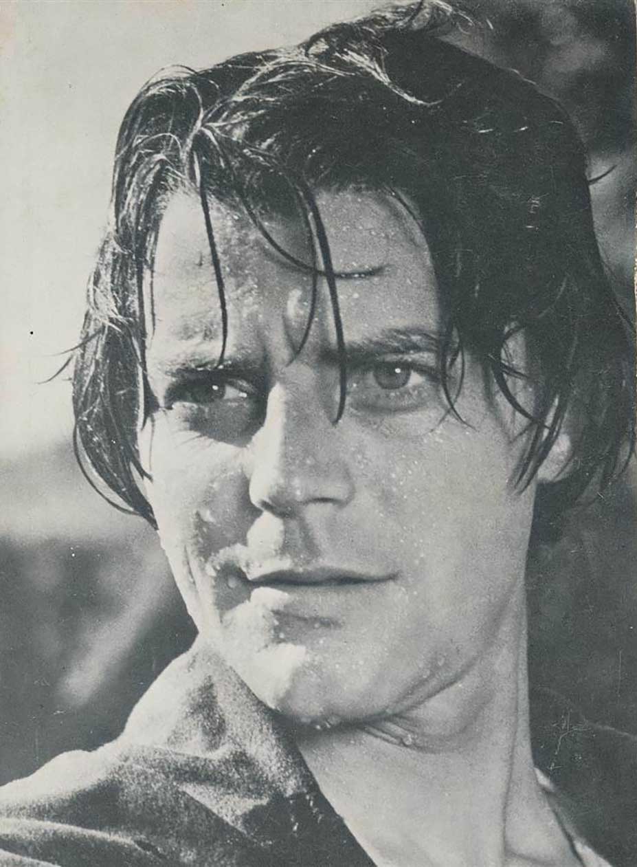 花开骑士剧照的剧照