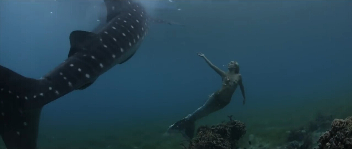 美人鱼是真实的剧照的剧照