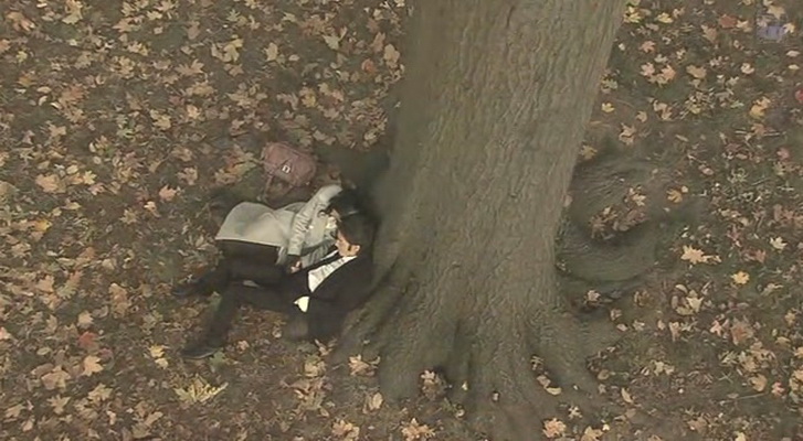 最后的爱剧照的剧照