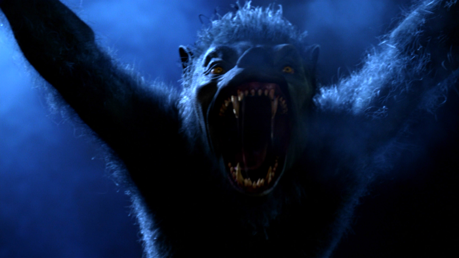 狼人：身边野兽剧照的剧照