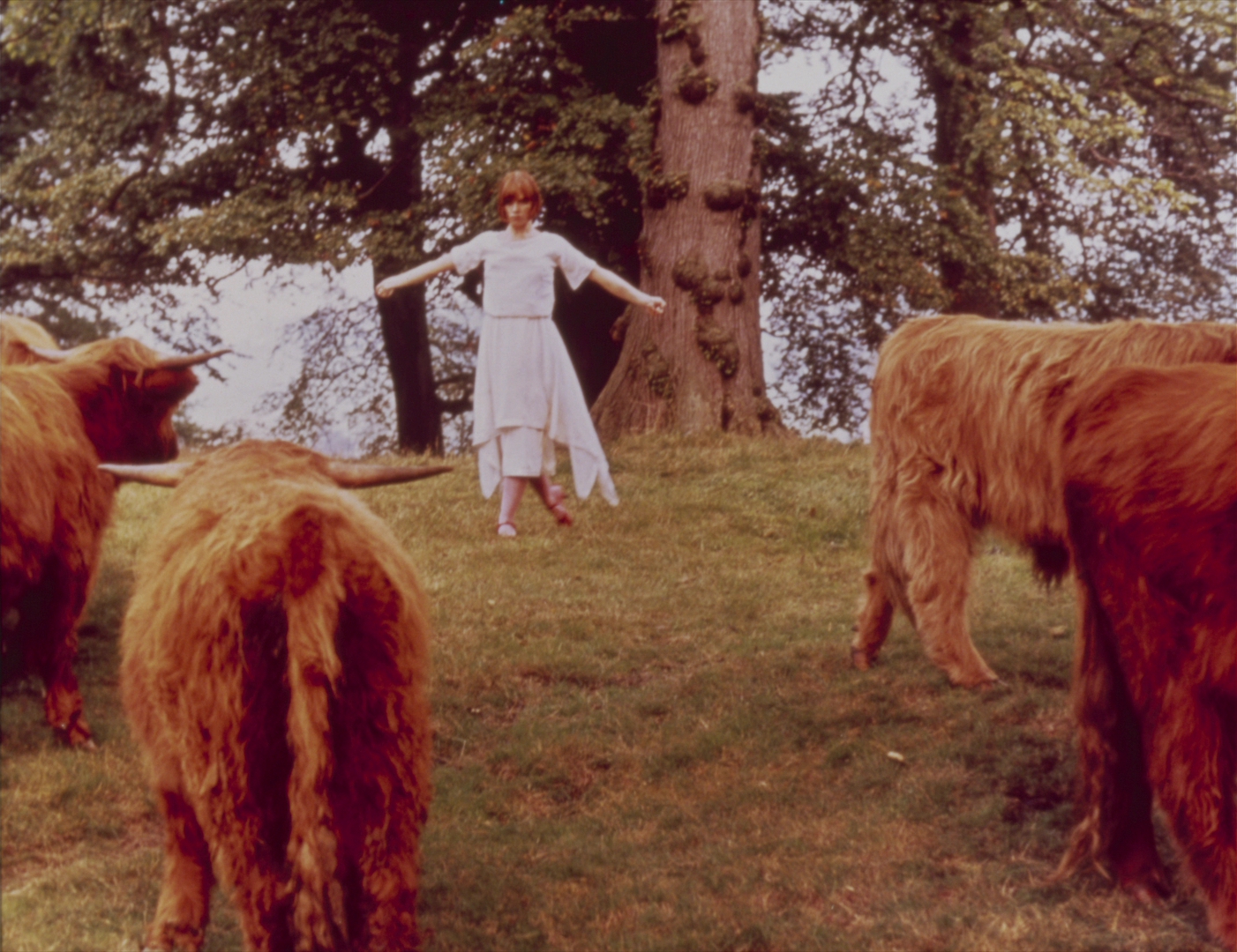 恋爱中的女人剧照的剧照