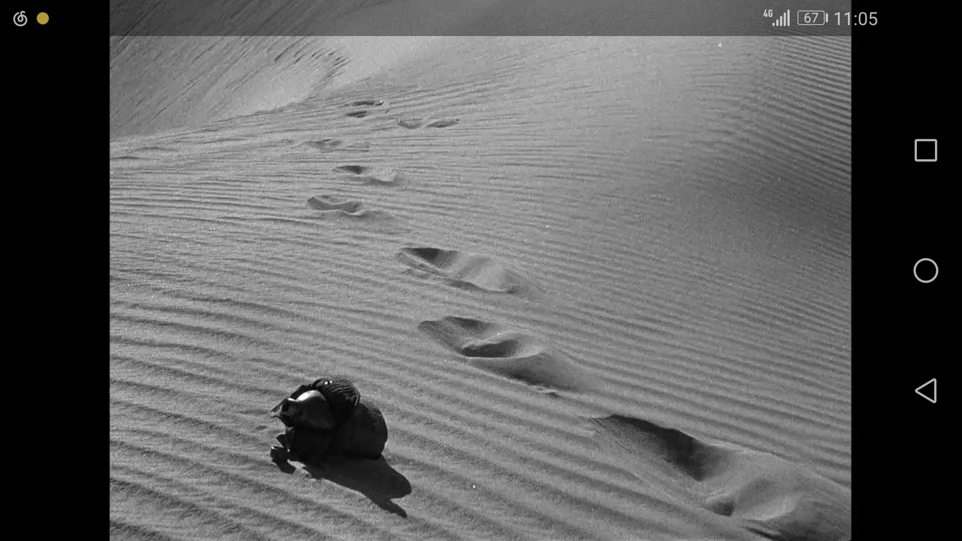 孤城虎将剧照的剧照