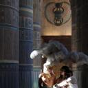 绝对好奇：纳芙蒂蒂木乃伊之谜剧照