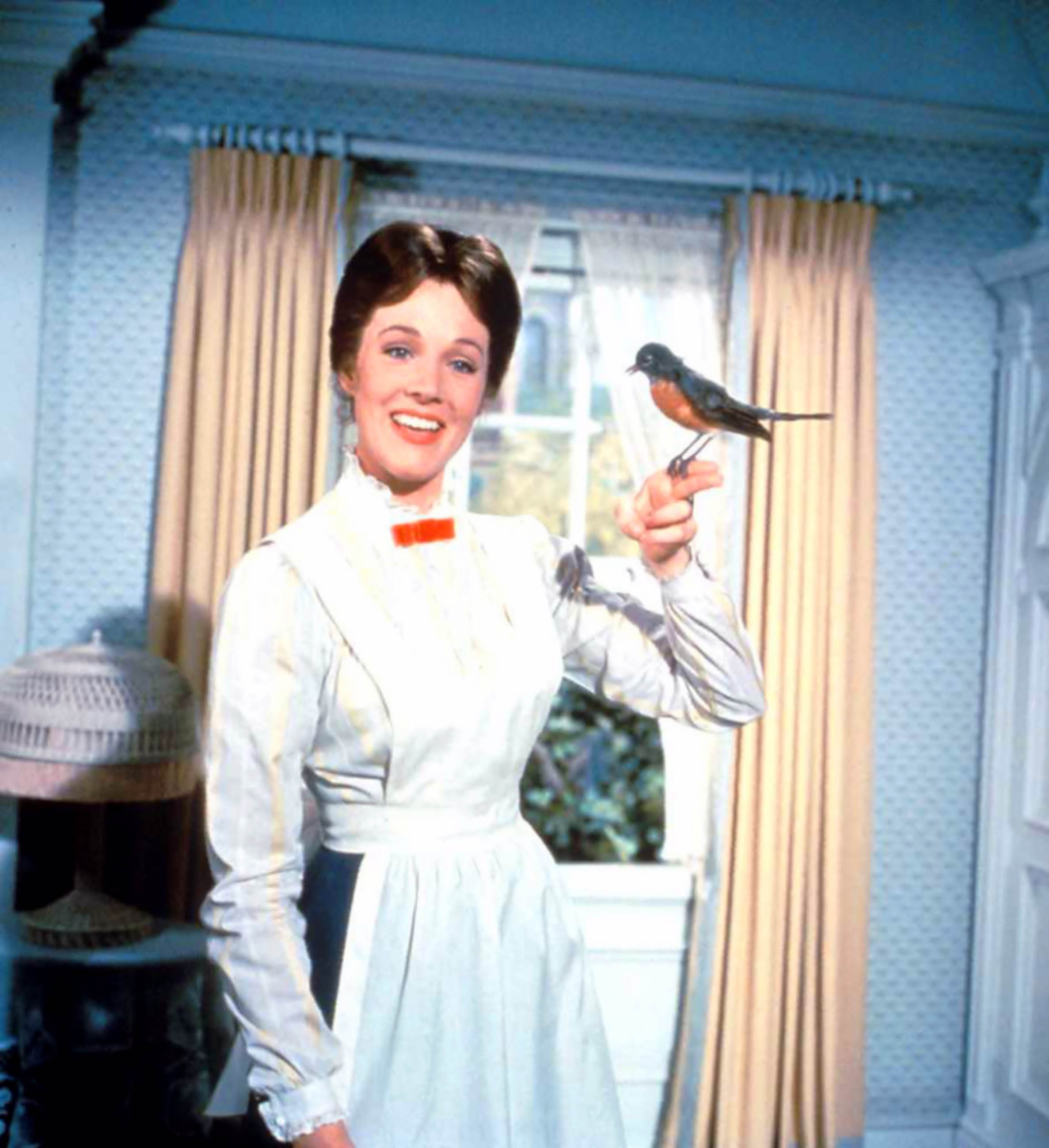 欢乐满人间剧照的剧照