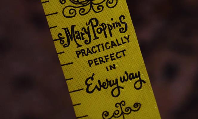 欢乐满人间剧照的剧照