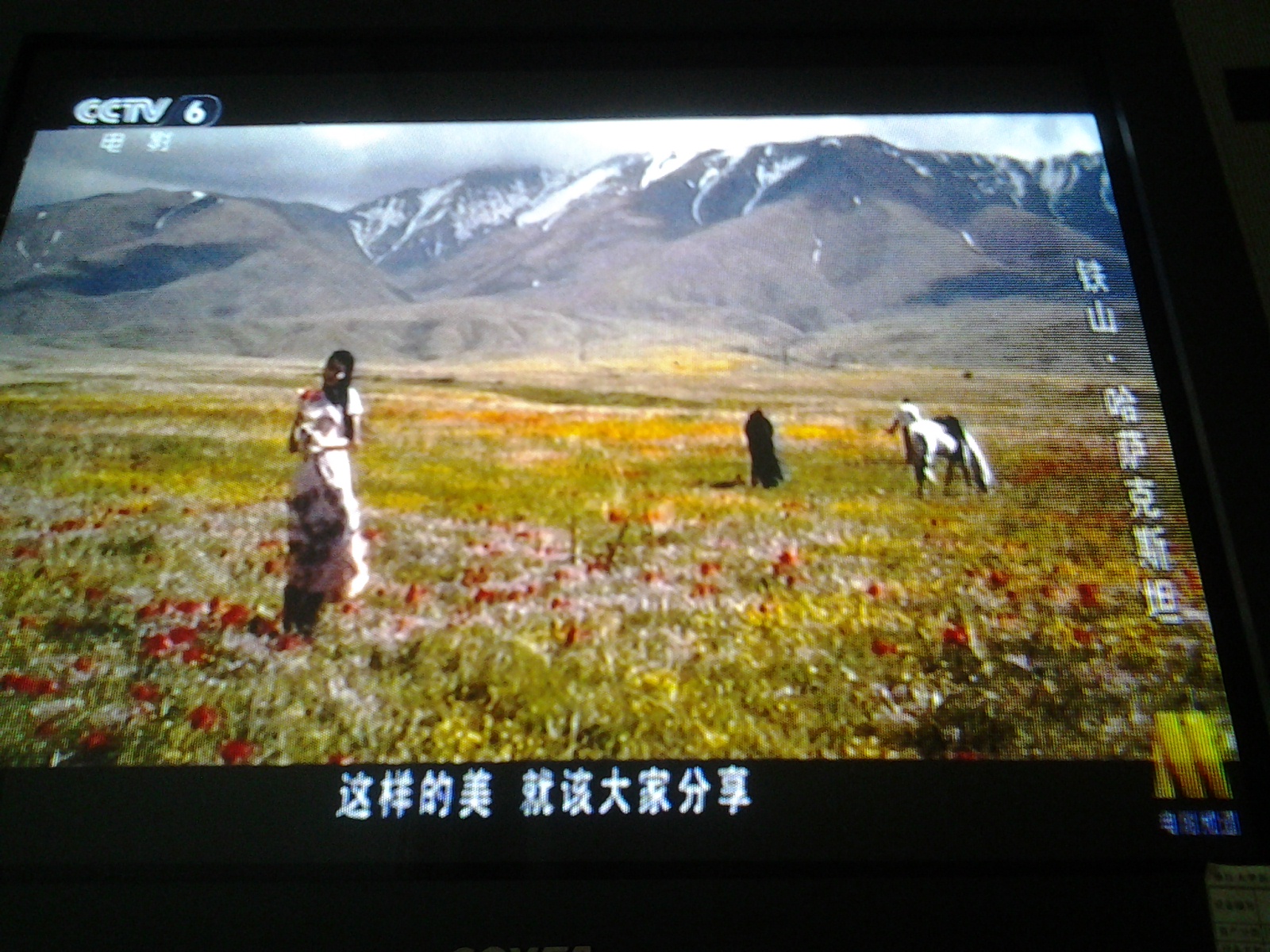 总统之路剧照的剧照