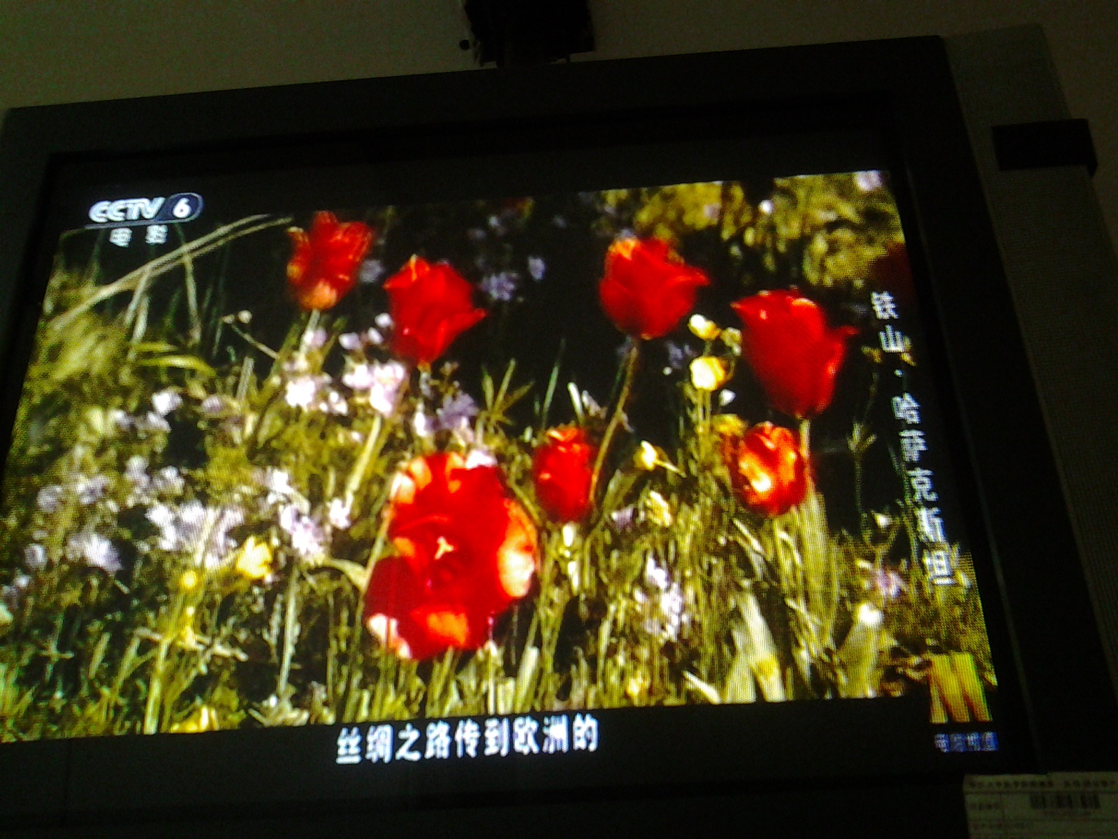 总统之路剧照的剧照