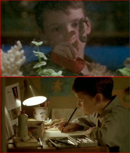 法兰基，我的爱剧照的剧照