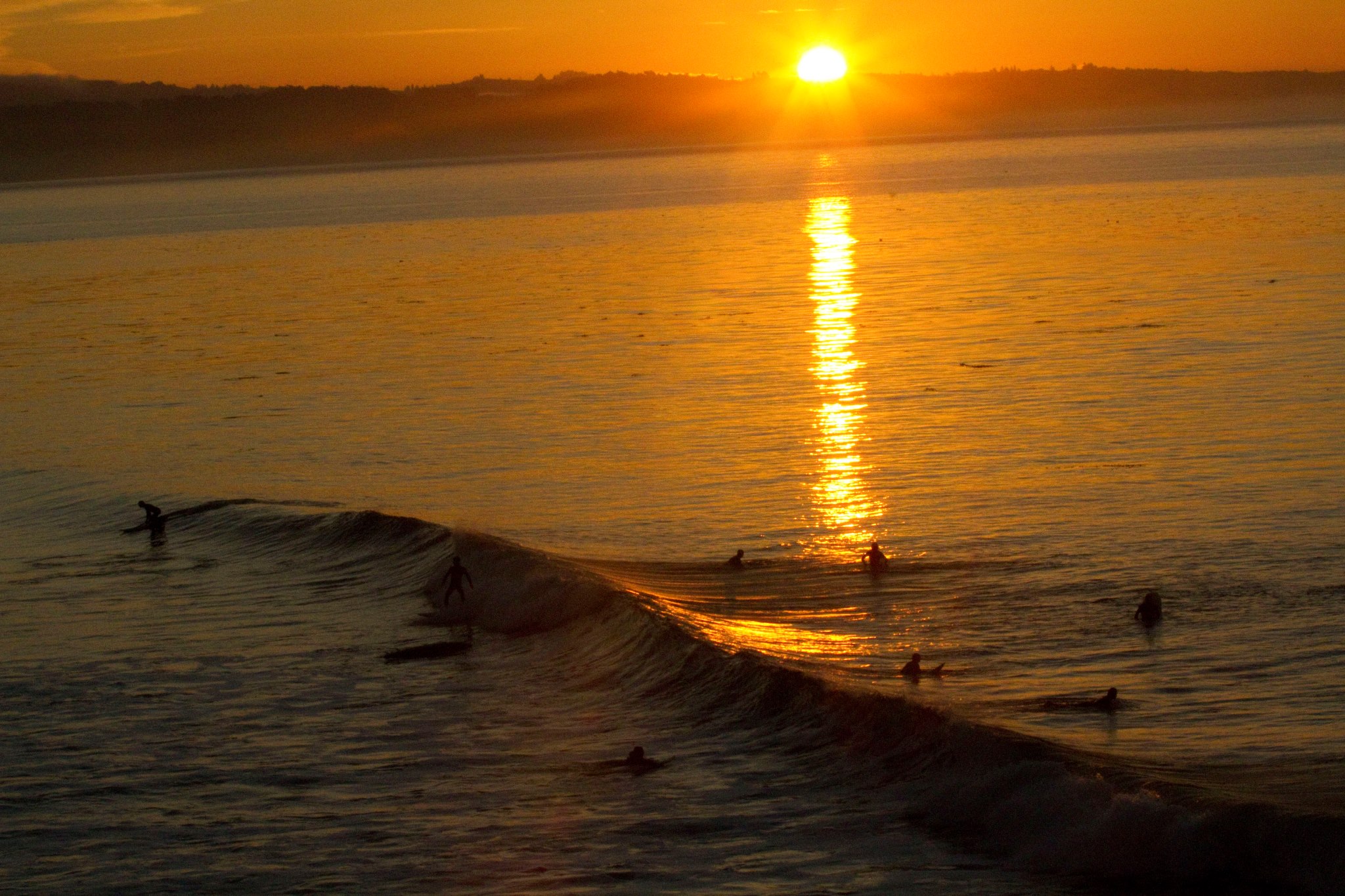 冲浪英豪剧照的剧照