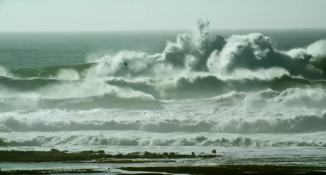 冲浪英豪剧照的剧照