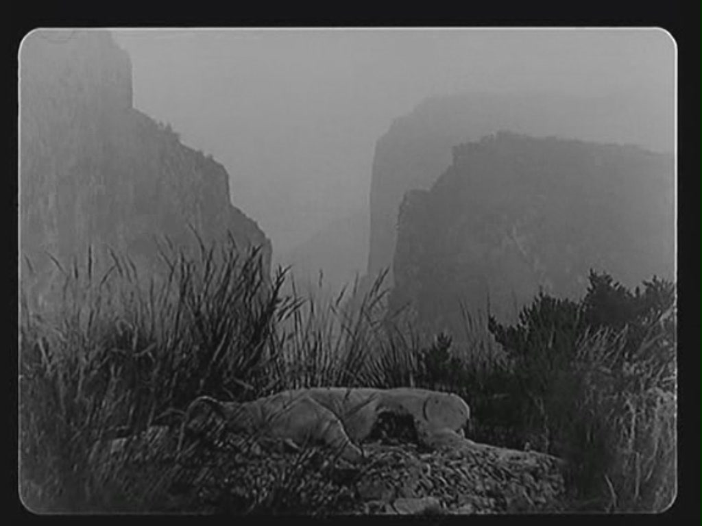 卢米埃尔与四十大导剧照的剧照