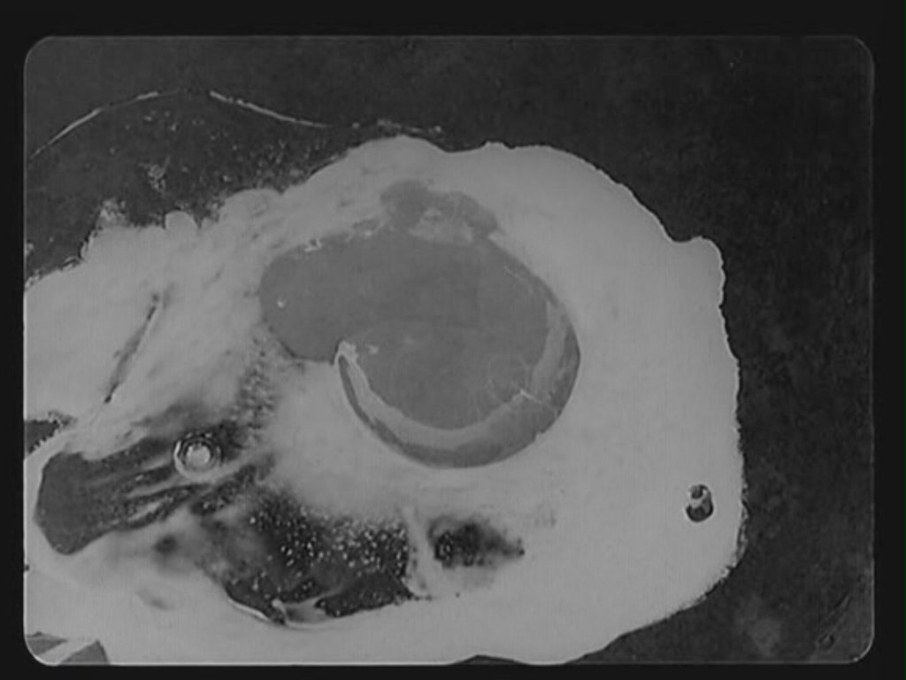 卢米埃尔与四十大导剧照的剧照