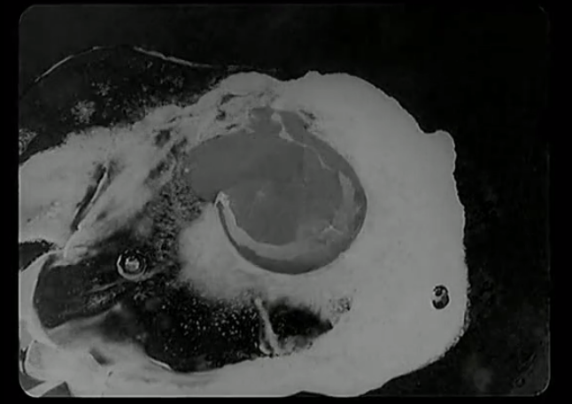 卢米埃尔与四十大导剧照的剧照