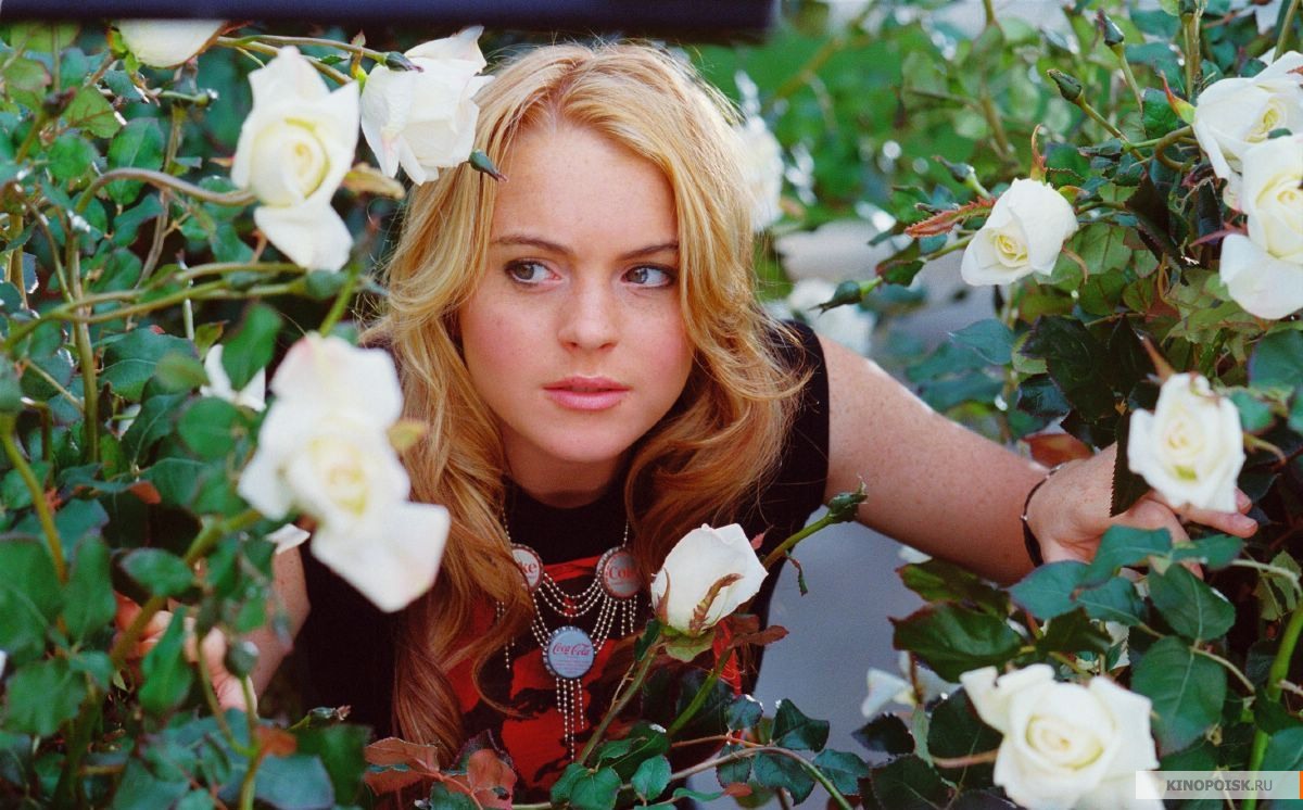 青春舞会皇后剧照的剧照