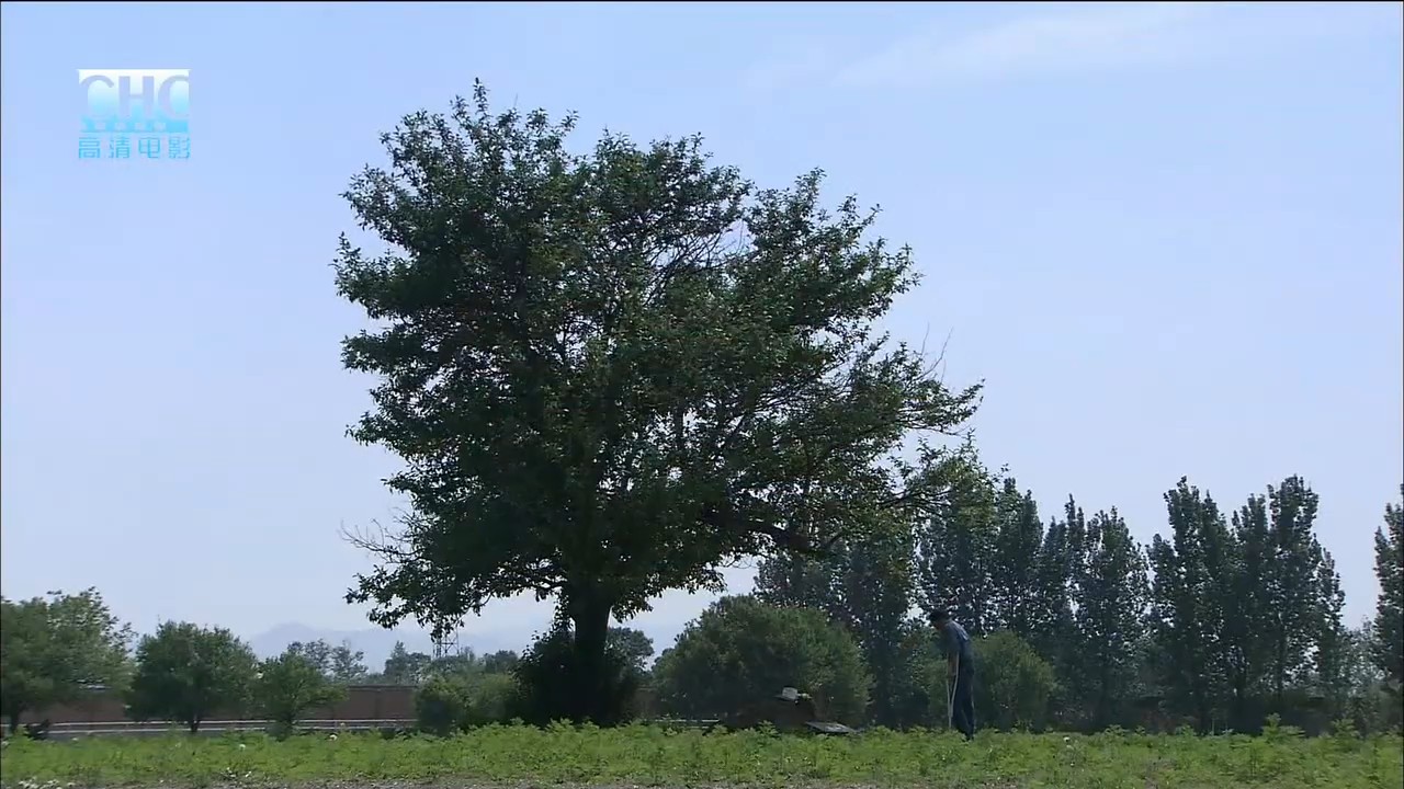 飓风之舞剧照的剧照