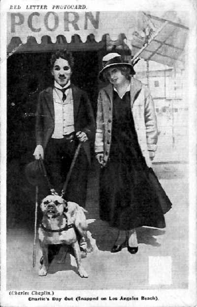 在海边剧照的剧照