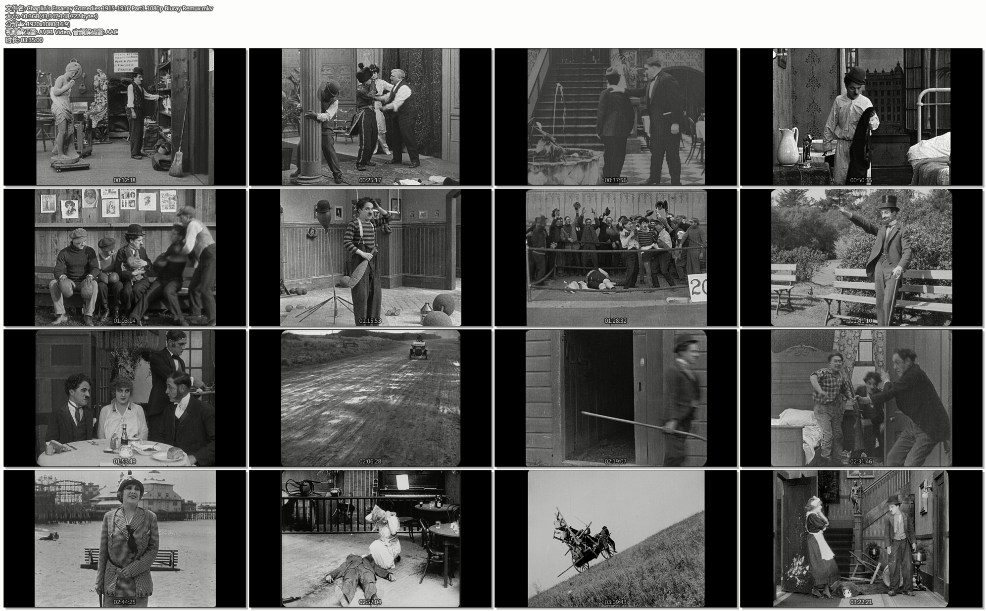 在海边剧照的剧照