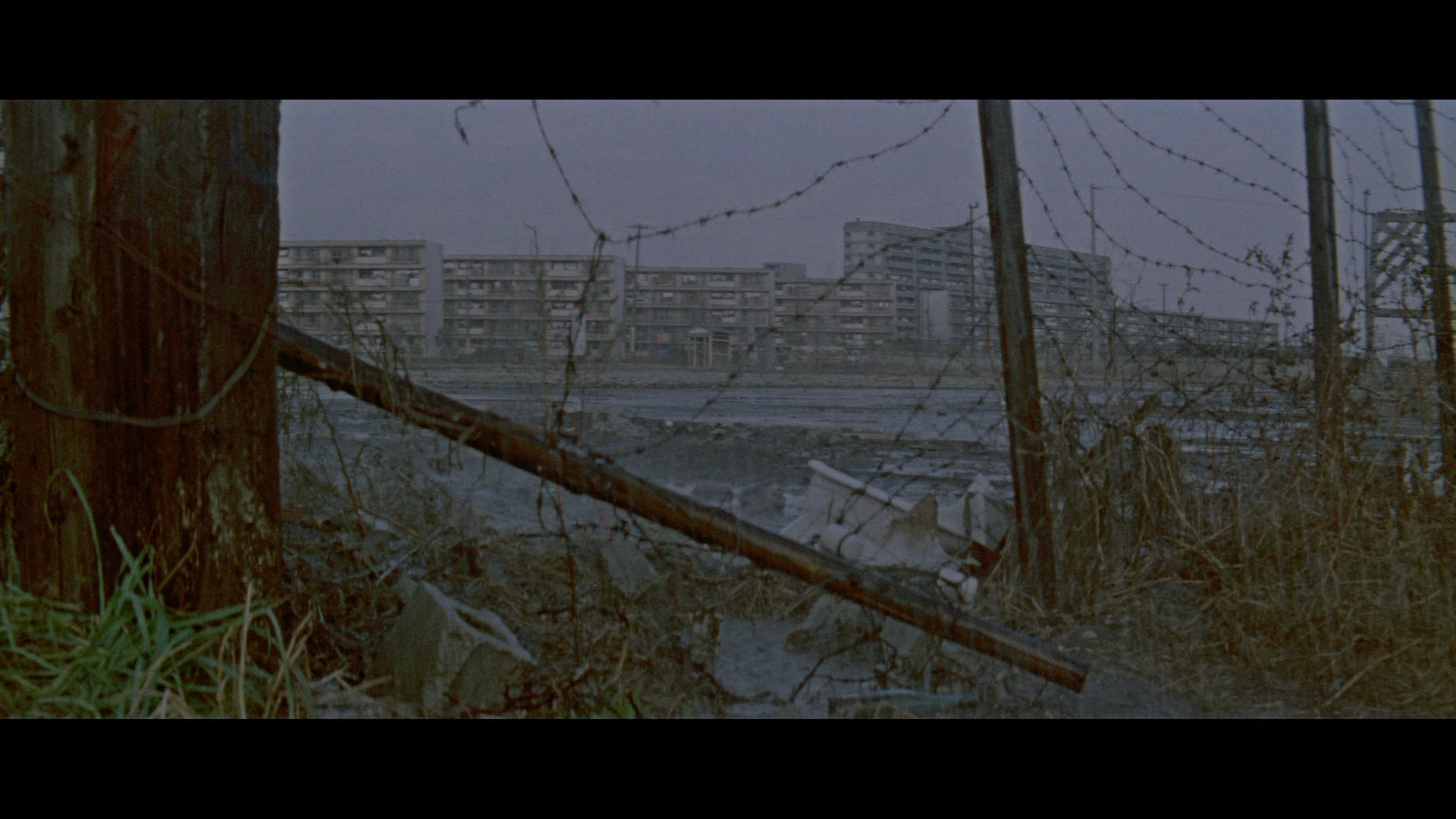 安详之兽剧照的剧照