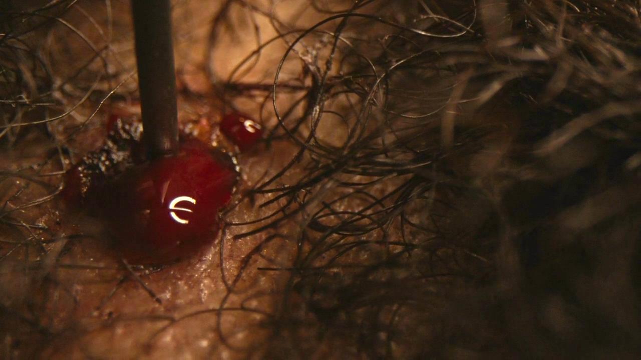 占有者剧照的剧照