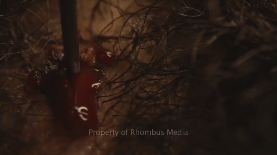 占有者剧照的剧照