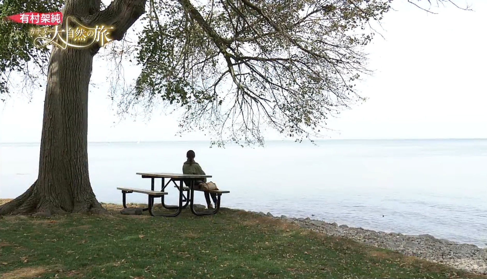 有村架纯 加拿大大自然之旅剧照的剧照