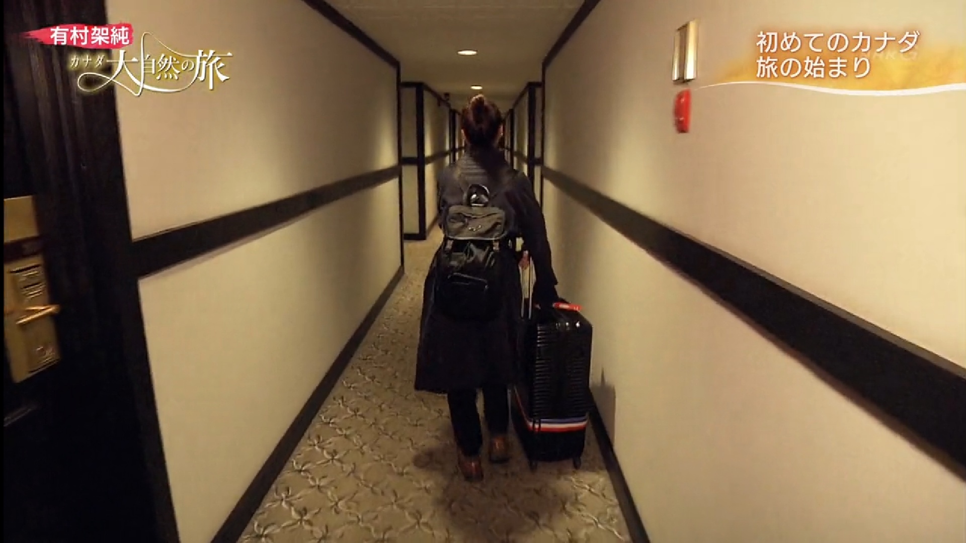 有村架纯 加拿大大自然之旅剧照的剧照