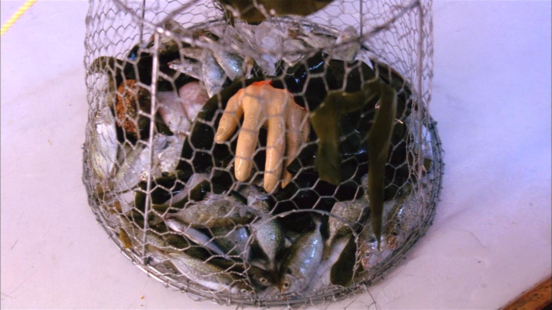 阴阳路2：我在你左右剧照的剧照