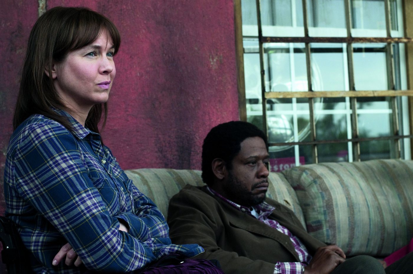 我自己的情歌剧照的剧照