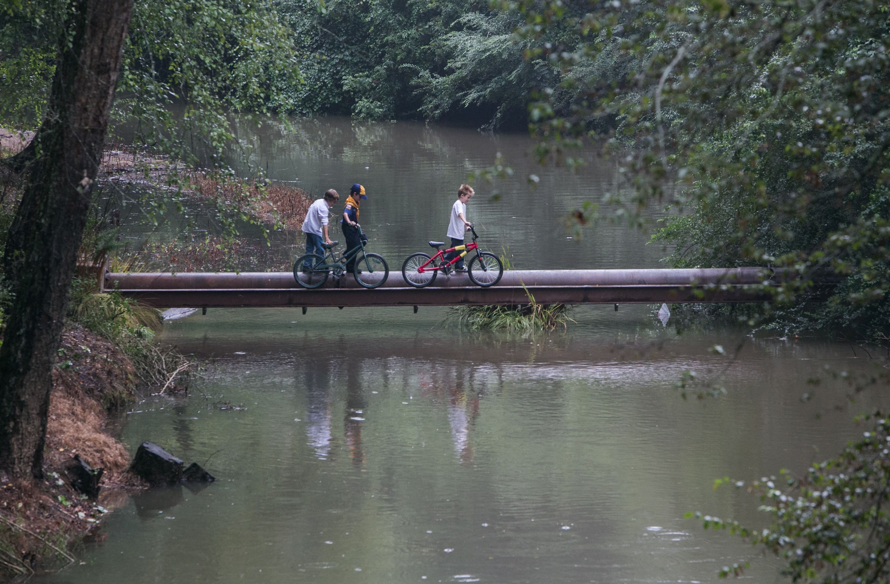 魔鬼绳结剧照的剧照
